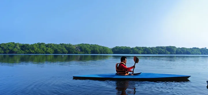 Kayak en aguas tranquilas frente a la vegetación de Sontecomapan